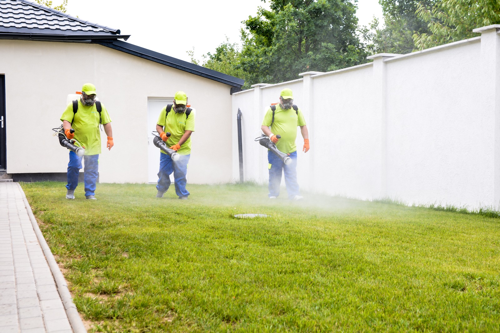 Dezinsecție terestră echipă profesională – Actual Clean Baia Mare Cluj